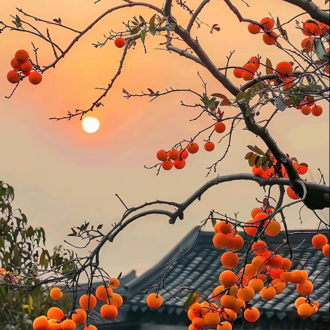 刘老师