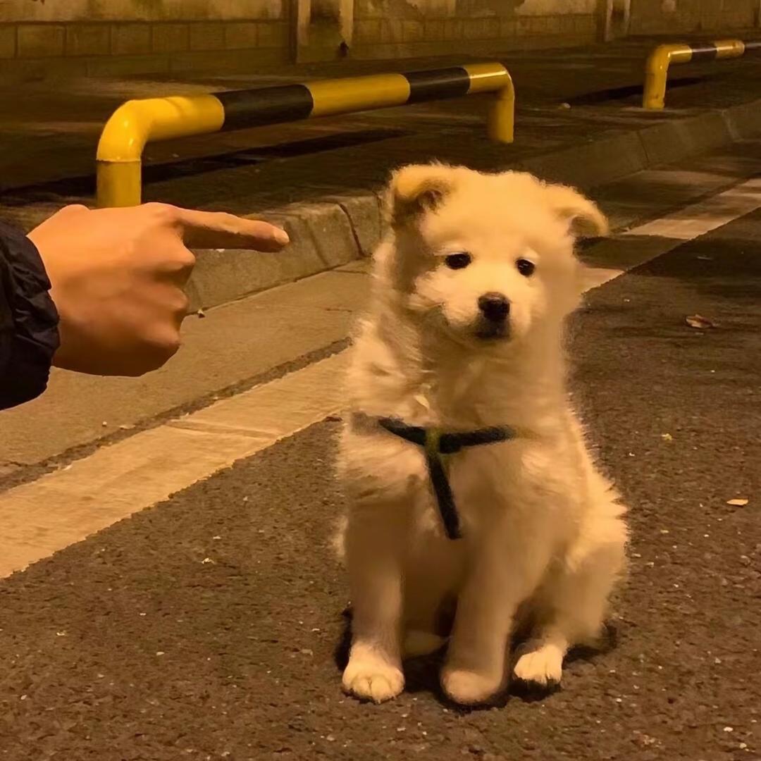 别搞笑了