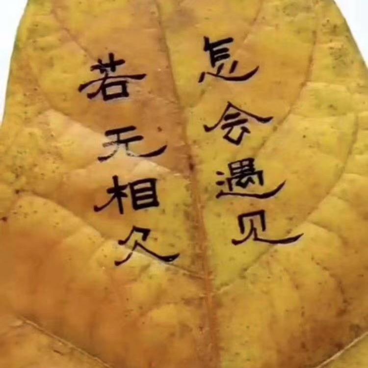 一路生花