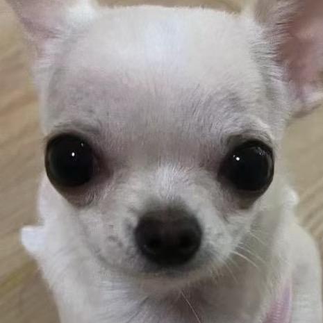 艾尔迪亚人