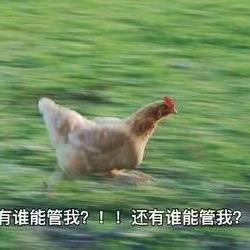 我来了，你no