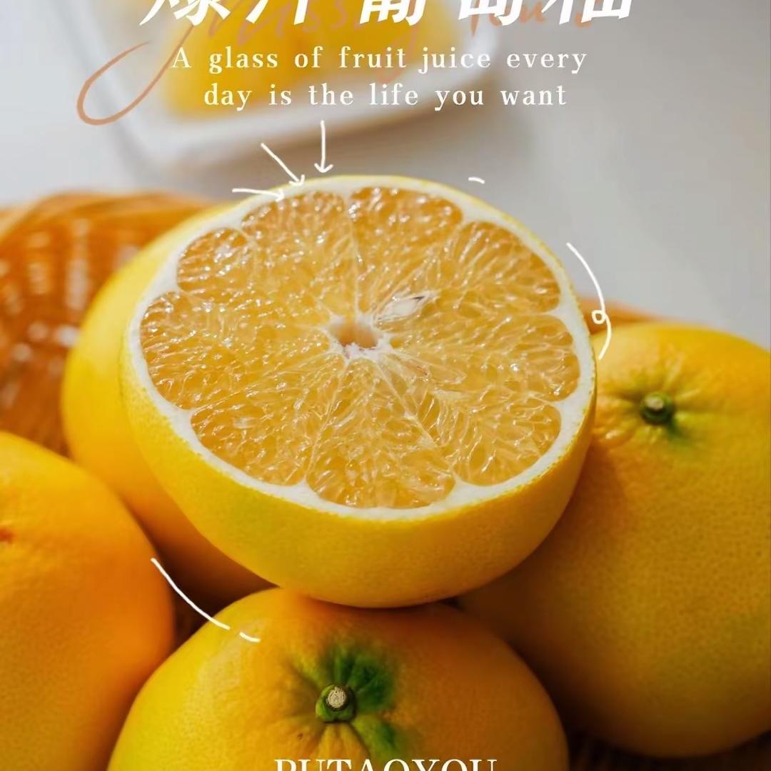 青青果园