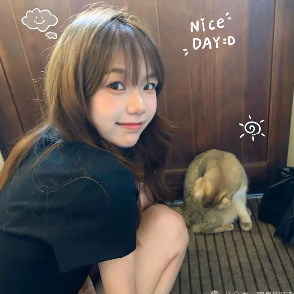 猫上树