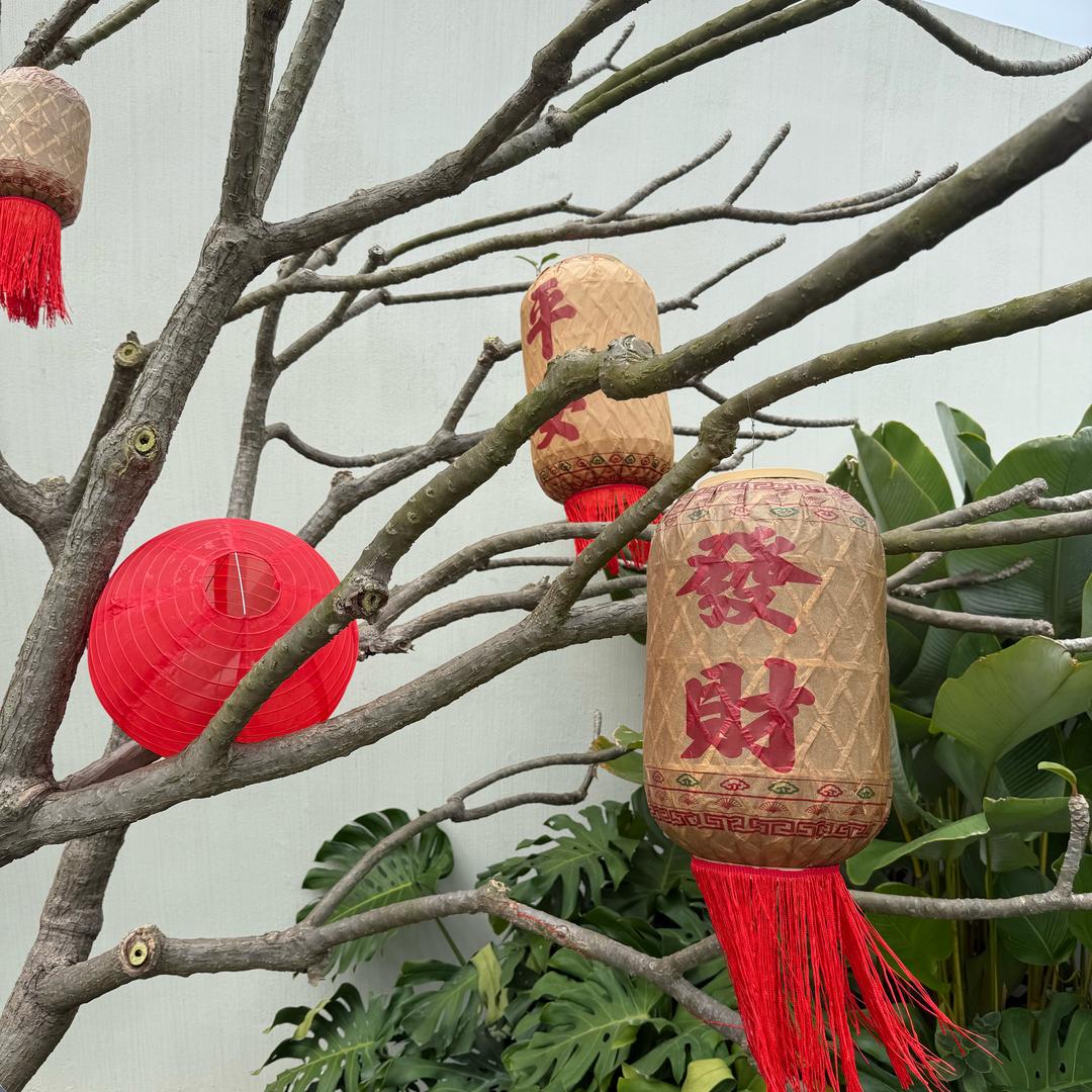 海南代代探房（林风旅居）