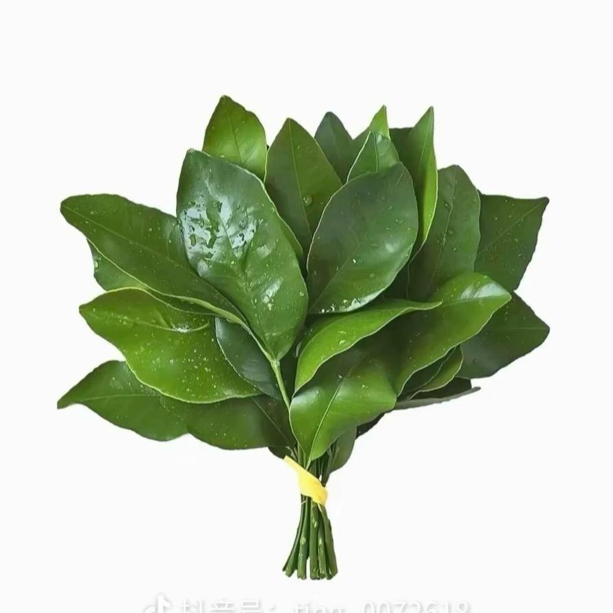 不瘦十斤不改名