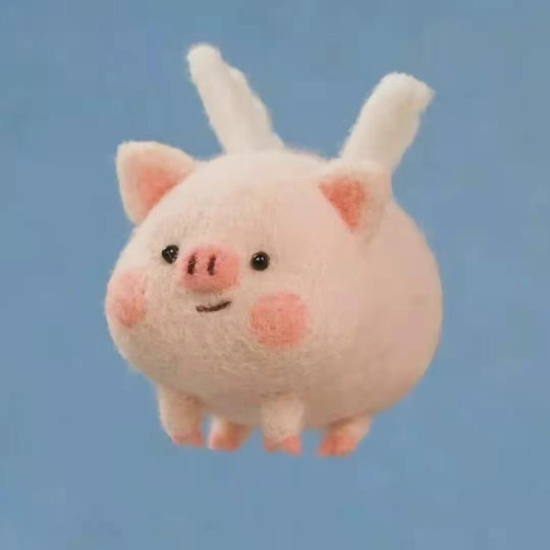 梦老师