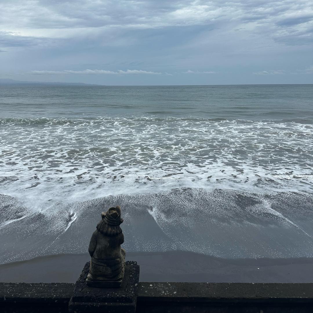 红鲤鱼与绿鲤鱼与驴