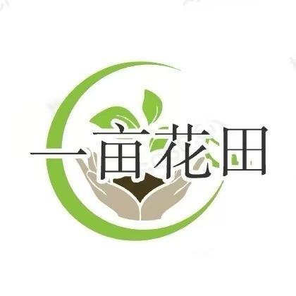 一亩花田（平湖基地）