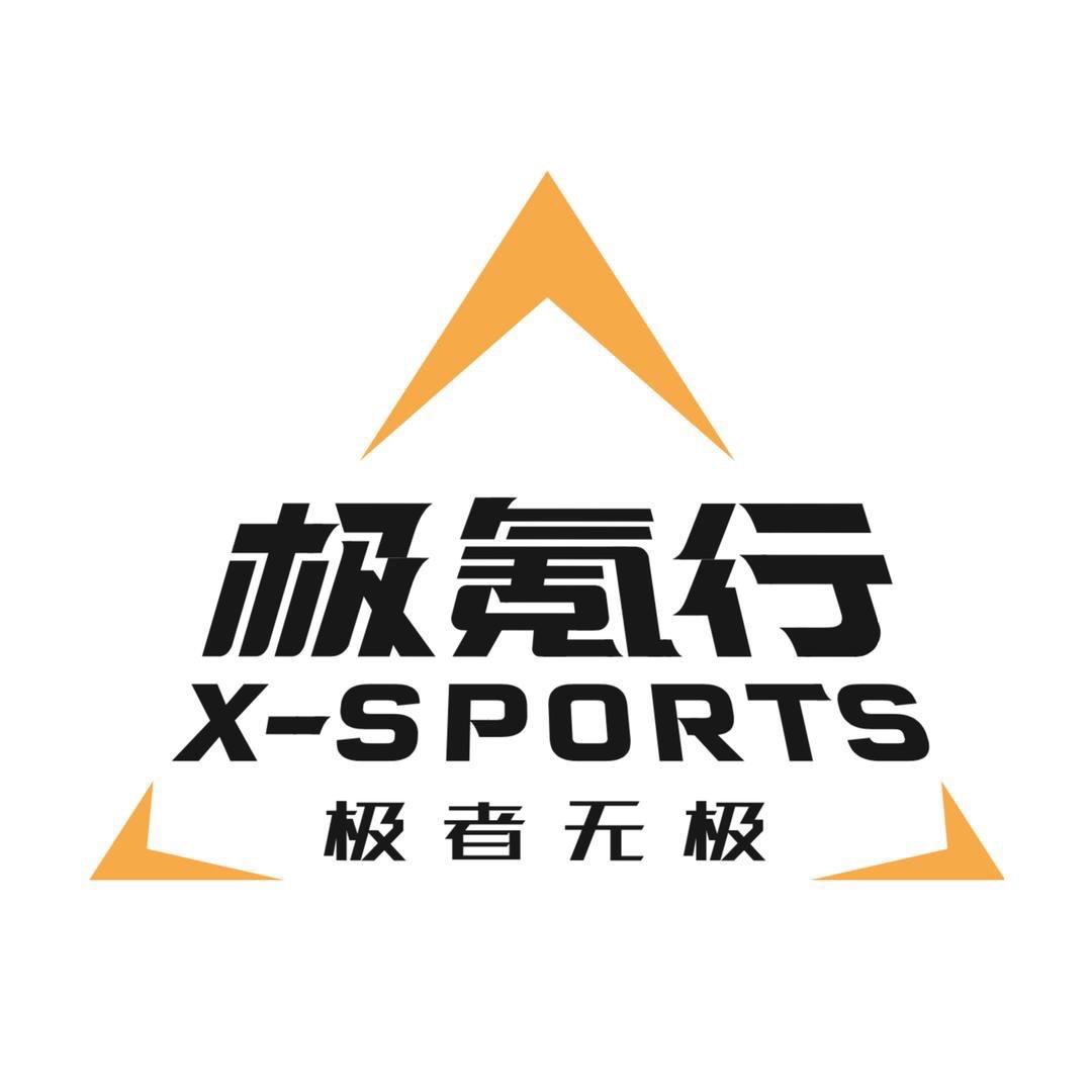 极氪行说