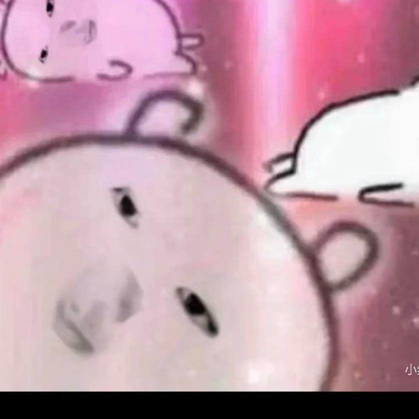 手撕喵
