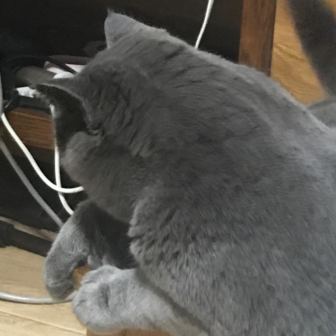 嘻嘻百货