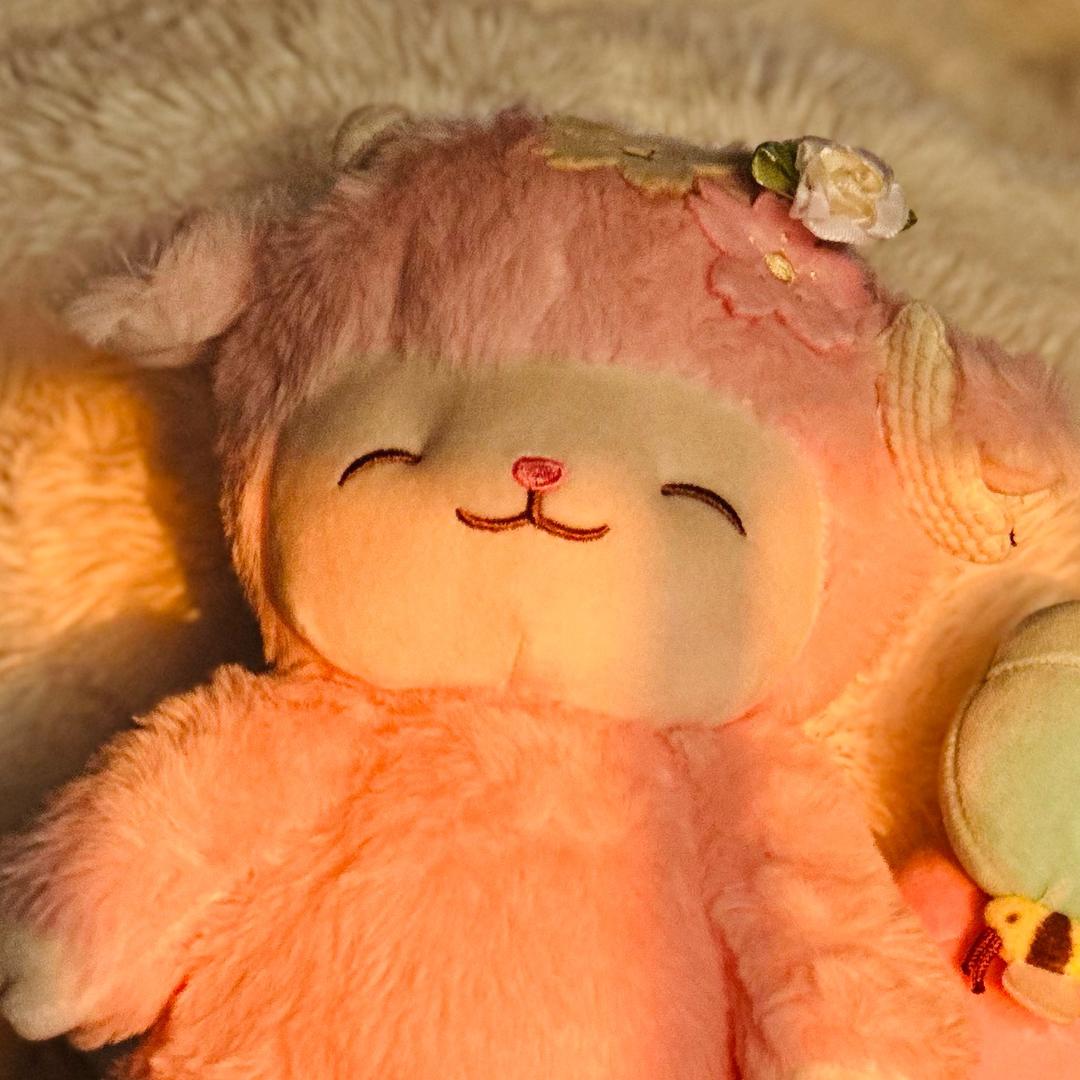 羊咩咩🐏