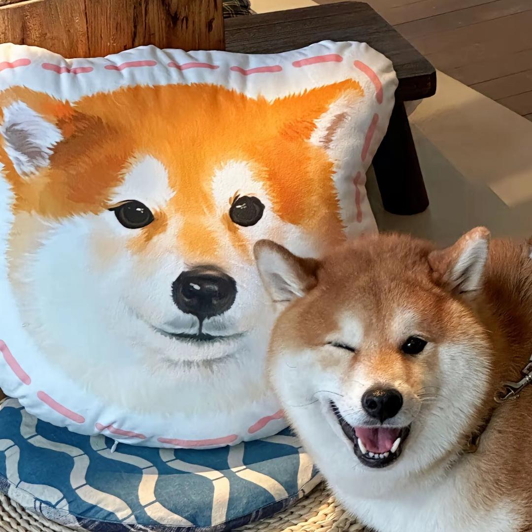 狗熊岭在逃翠花.