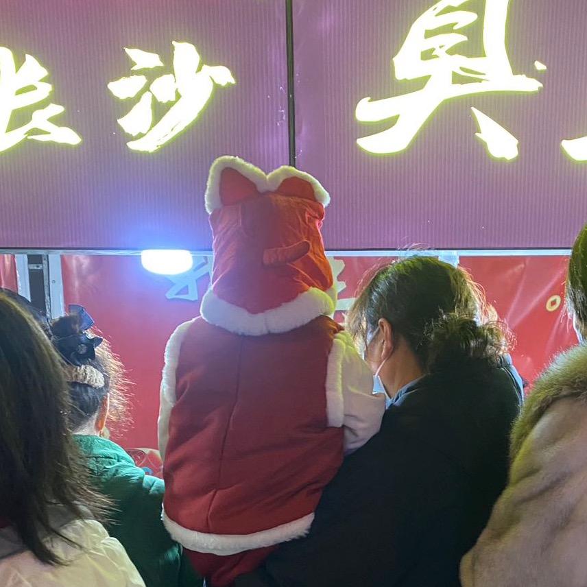 一只小姑娘。            ╲