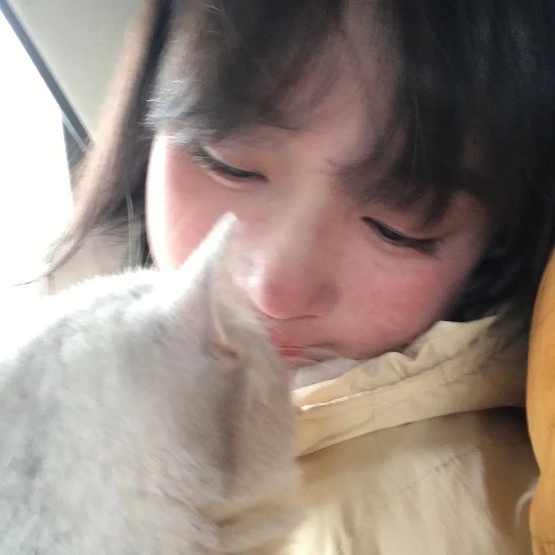 妙蛙种子