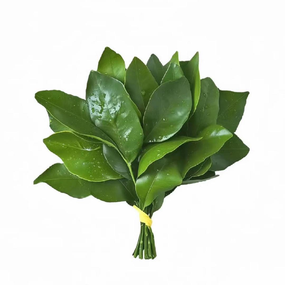 好运连连🪷