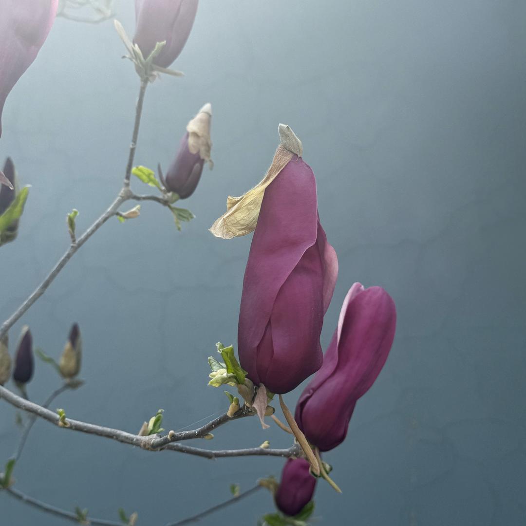 🦹¹ᶟ₁₄曹心飞杨💕