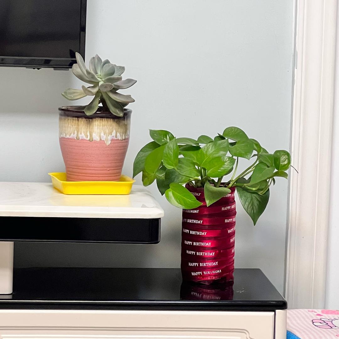 康顺严选好货店