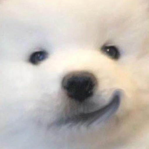 理理
