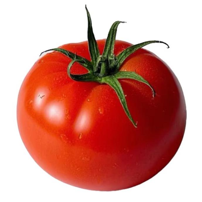 西红柿彩椒大盗