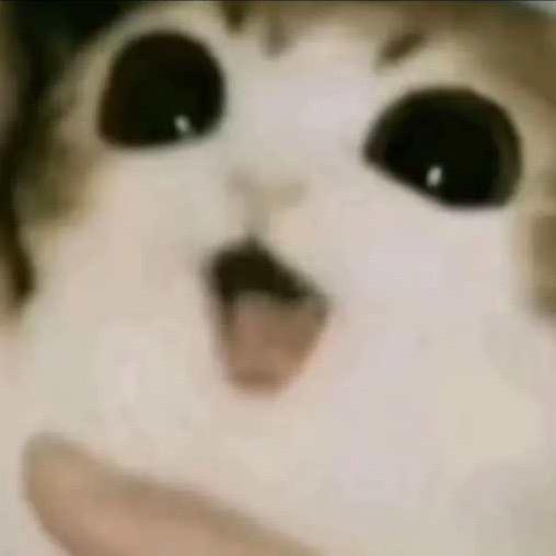 凌晨.