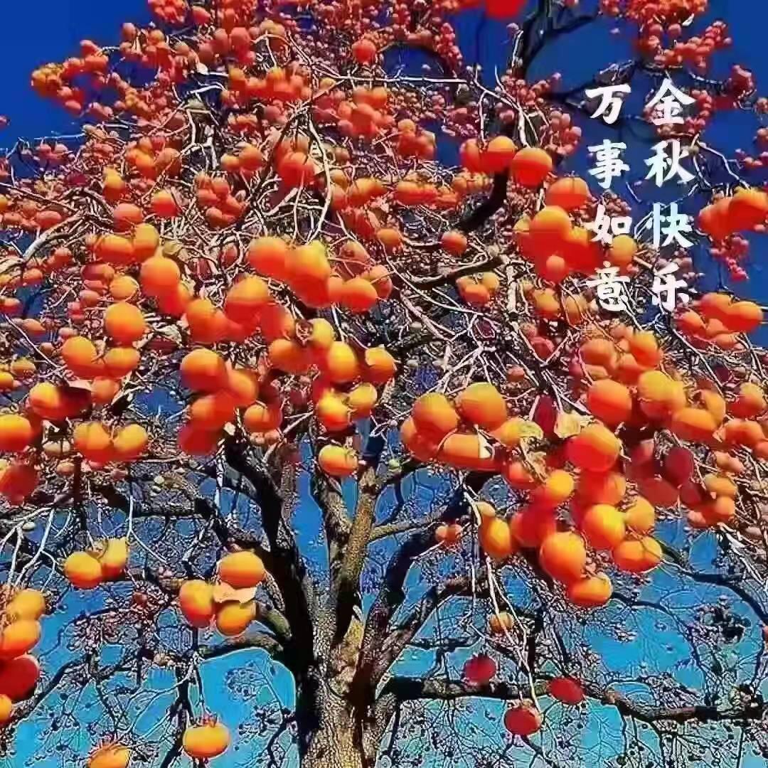 回家的路