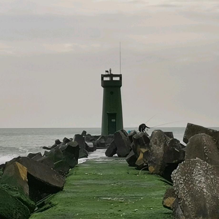 志林林