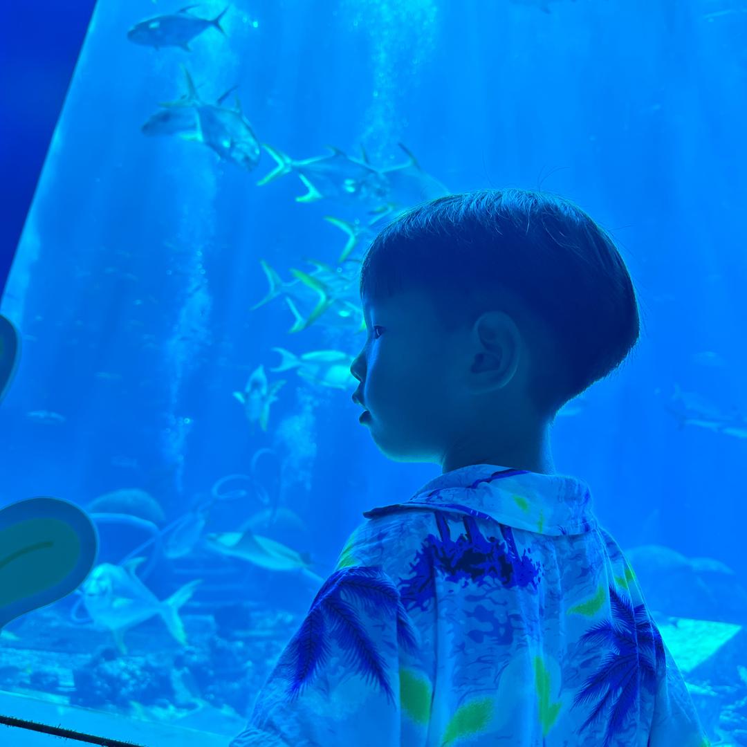 洗个头发吧💙✨（见过张杰版）