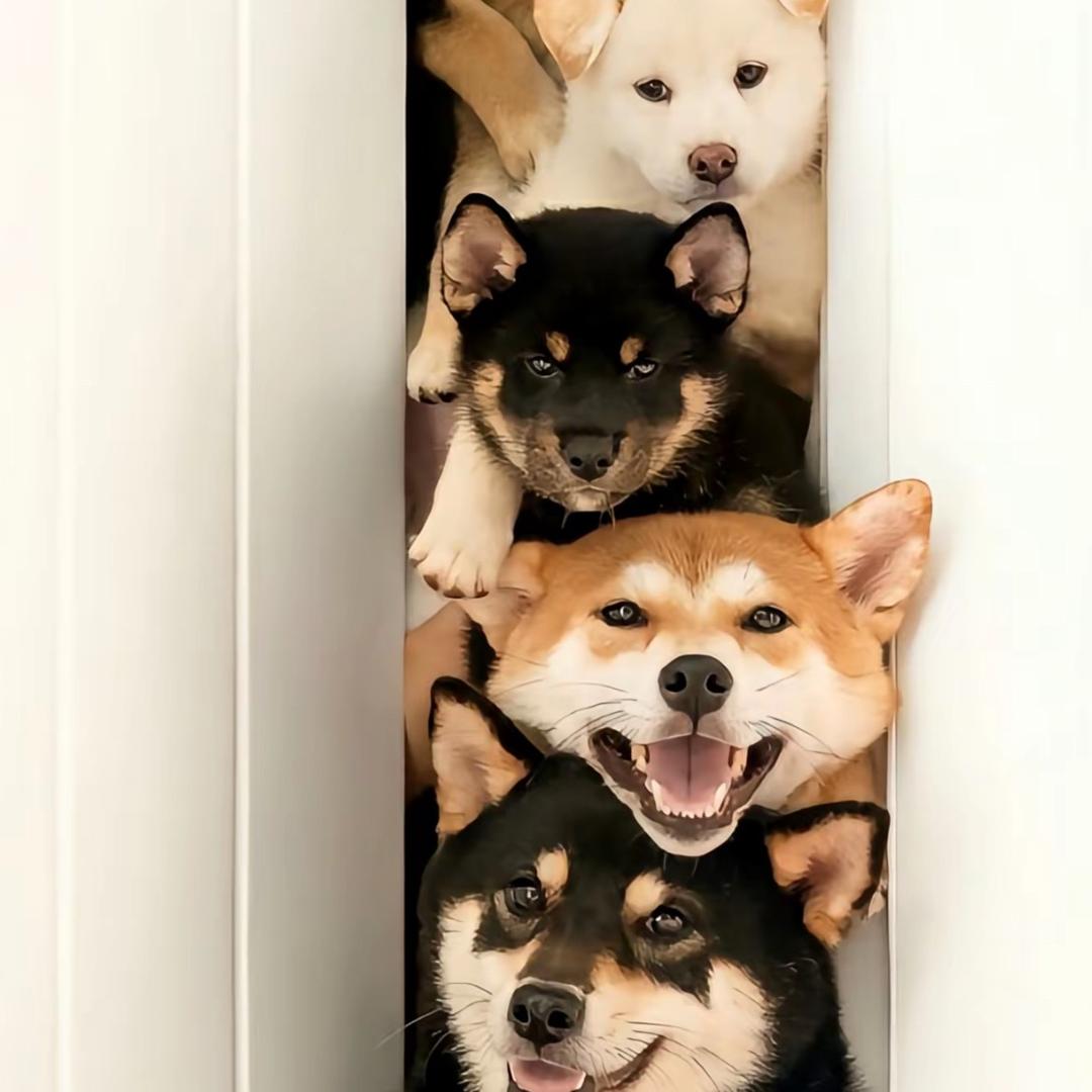 🎉🎉🎉🎉🎉🎉