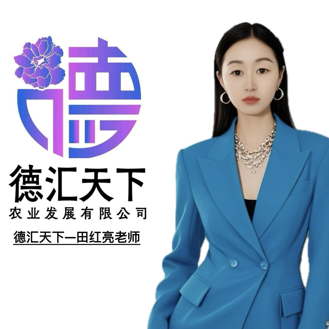 德汇天下一田红亮（1）
