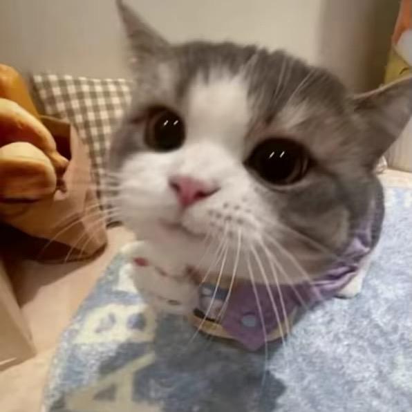 长矛蘸屎 戳谁谁死