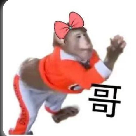 公主炖大鹅