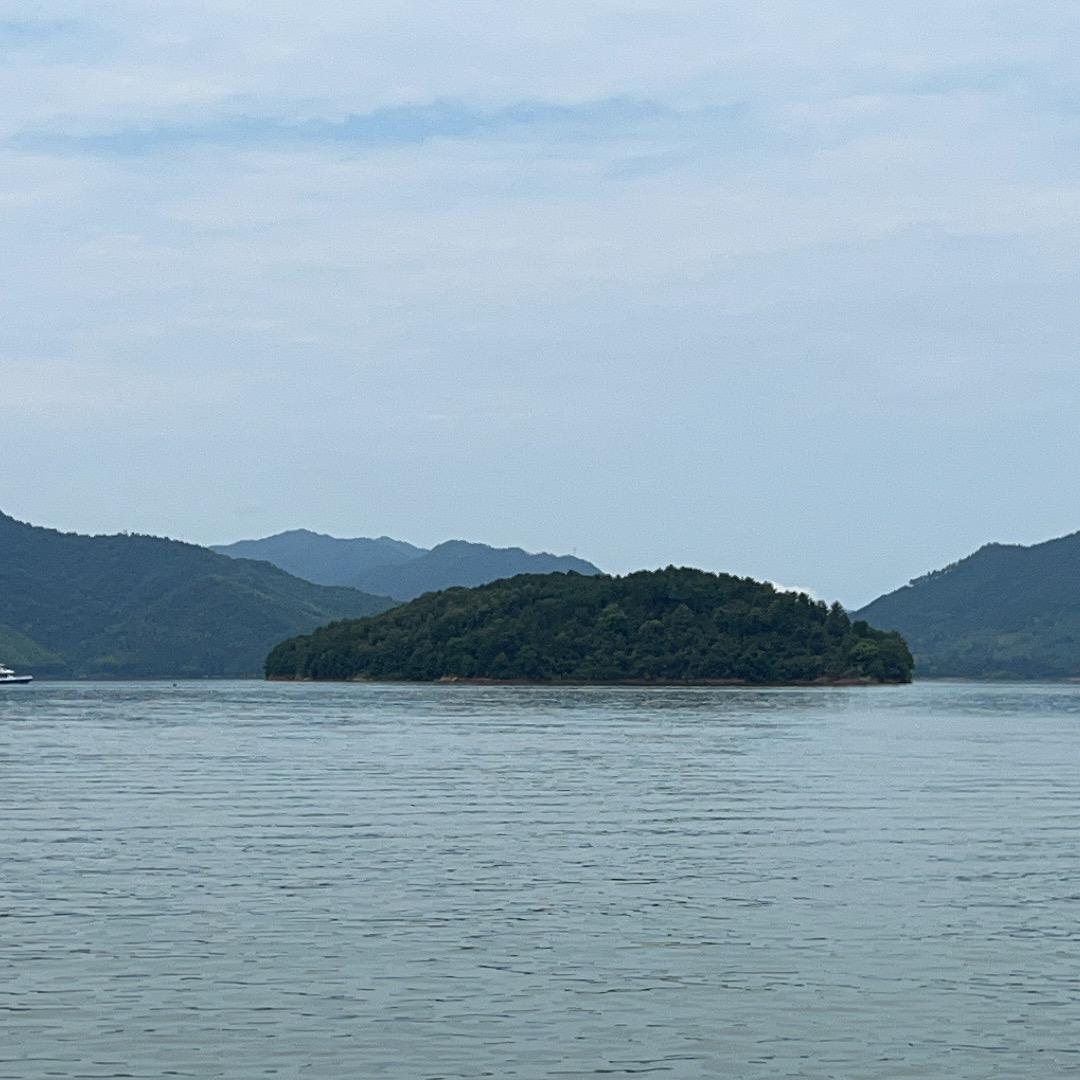 用户16896889660779