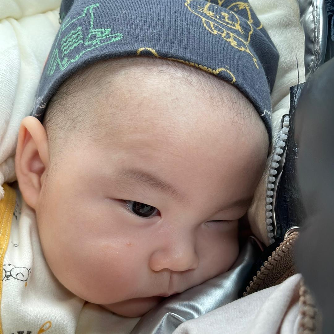 小虎🐯