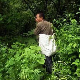 陈衣生