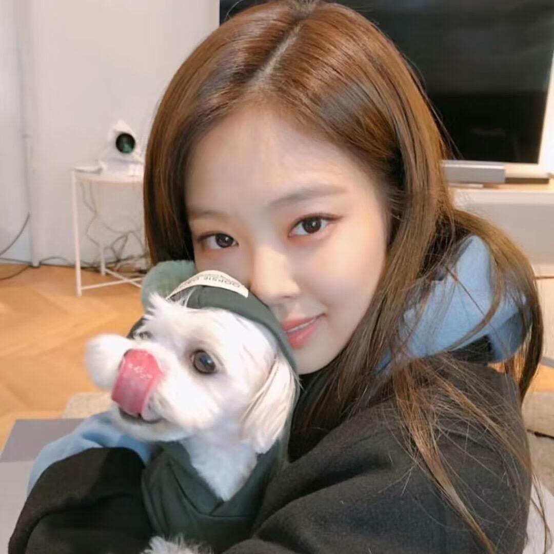 不吃鱼的猫、