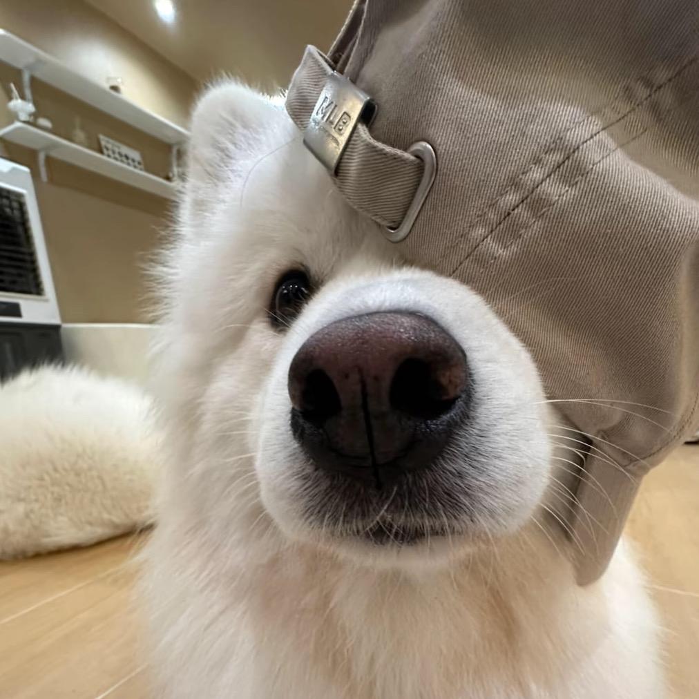 慧慧儿^