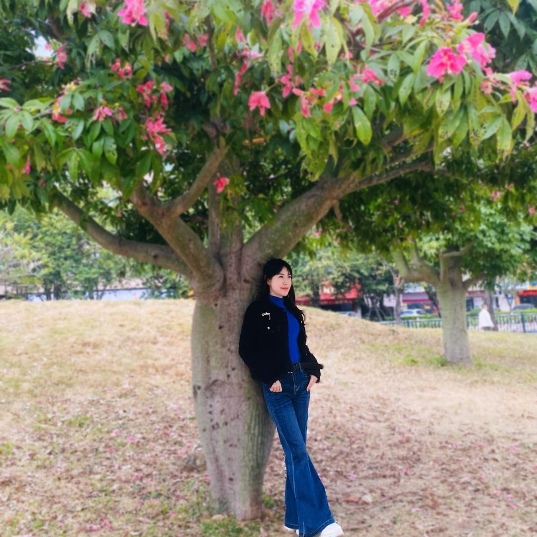 🌸🌸🌸