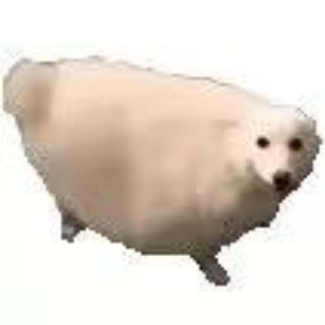 扣扣虾