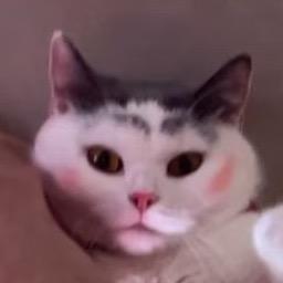 锅盖不听话