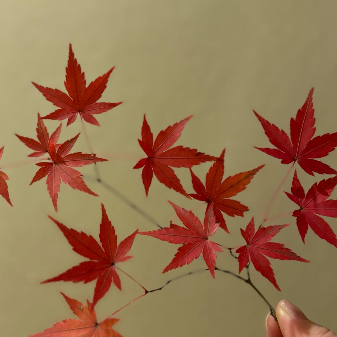 一奈花物