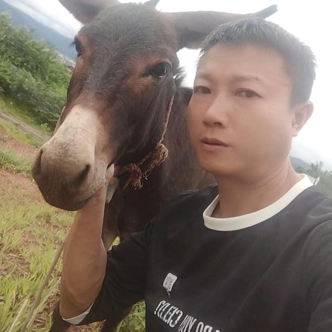 松樹坡珍禽哥