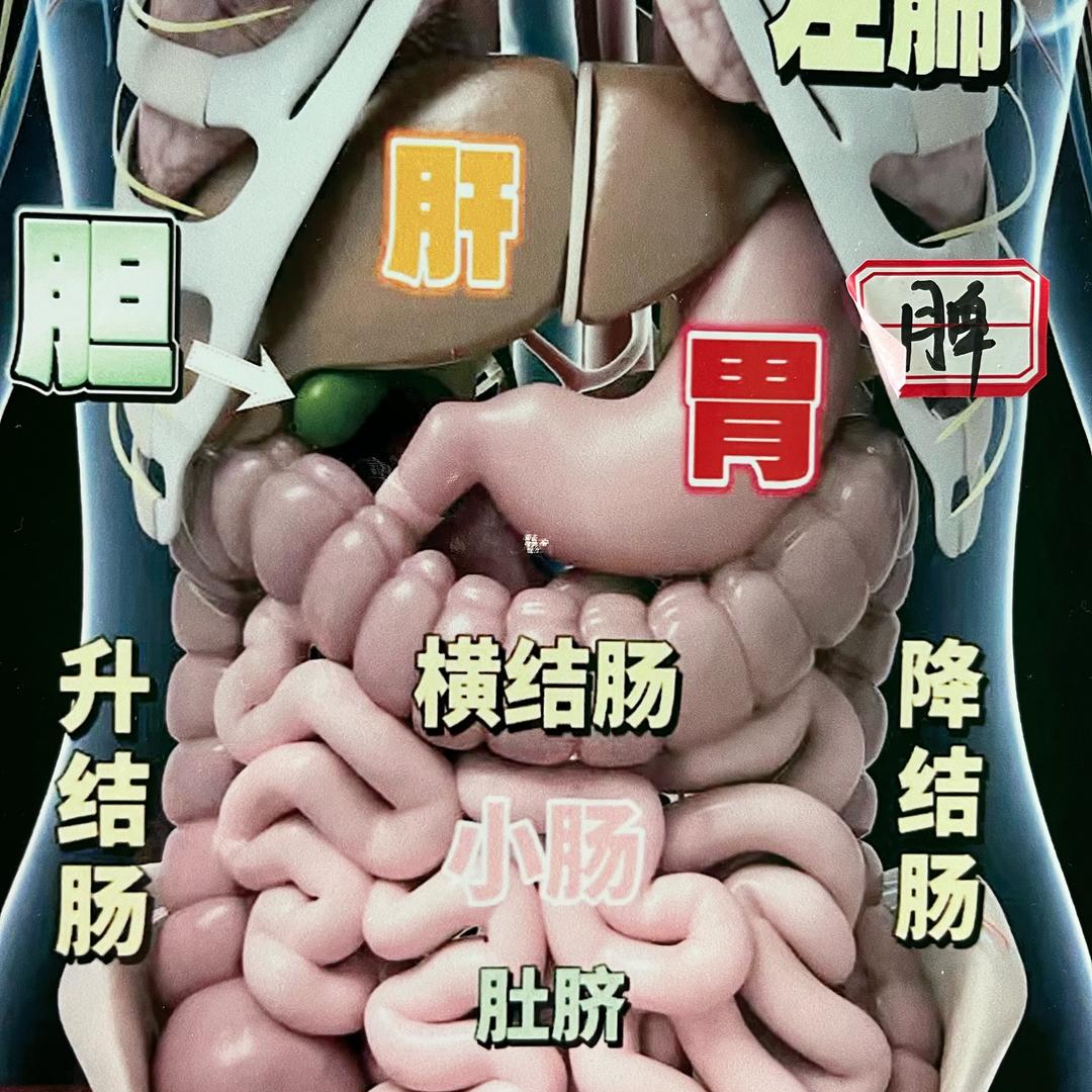 生活如意