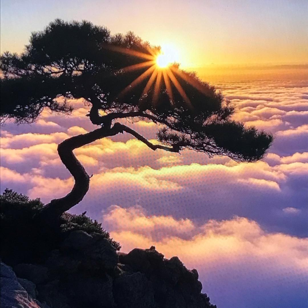 啼晓居士