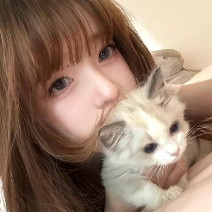 了了猫