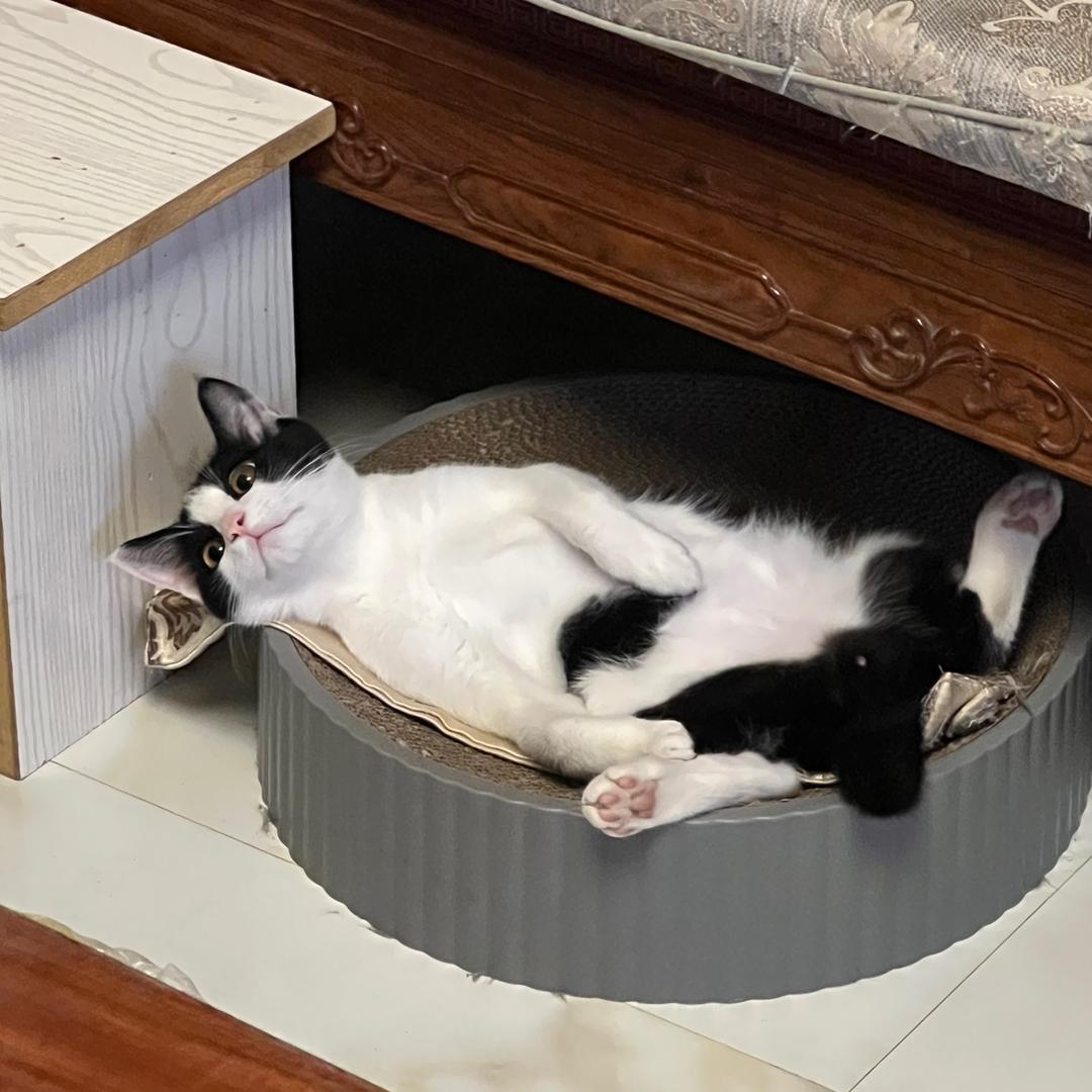 韦小宝