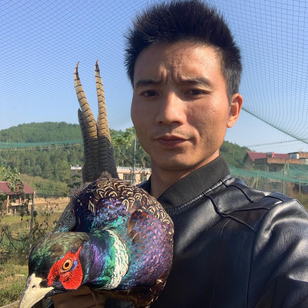 乡村小武家庭农场