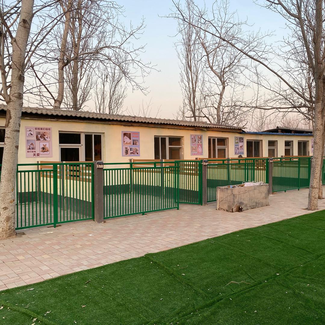 石家庄趣那宠物寄养乐园