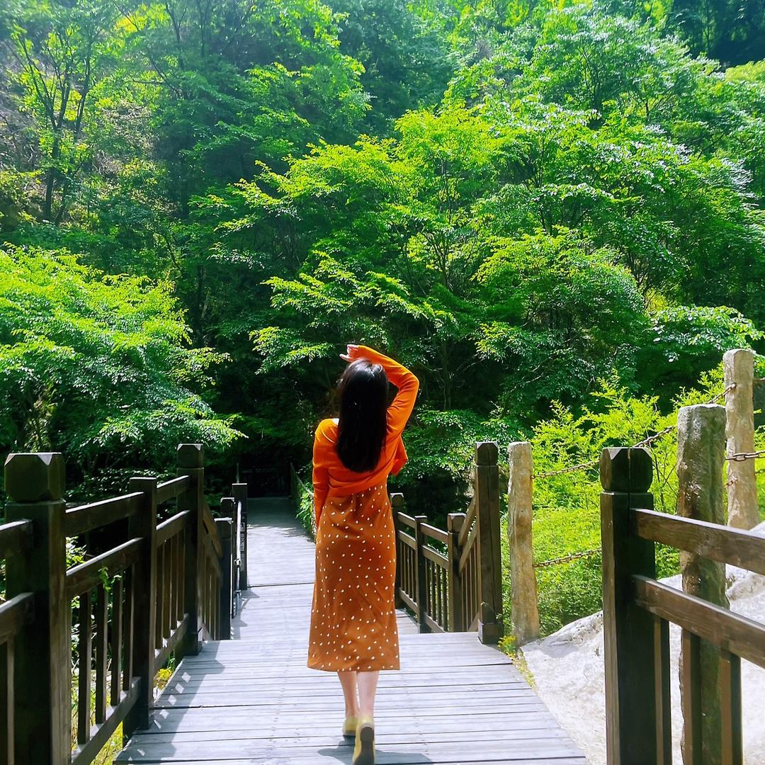 🏠阿朱啊