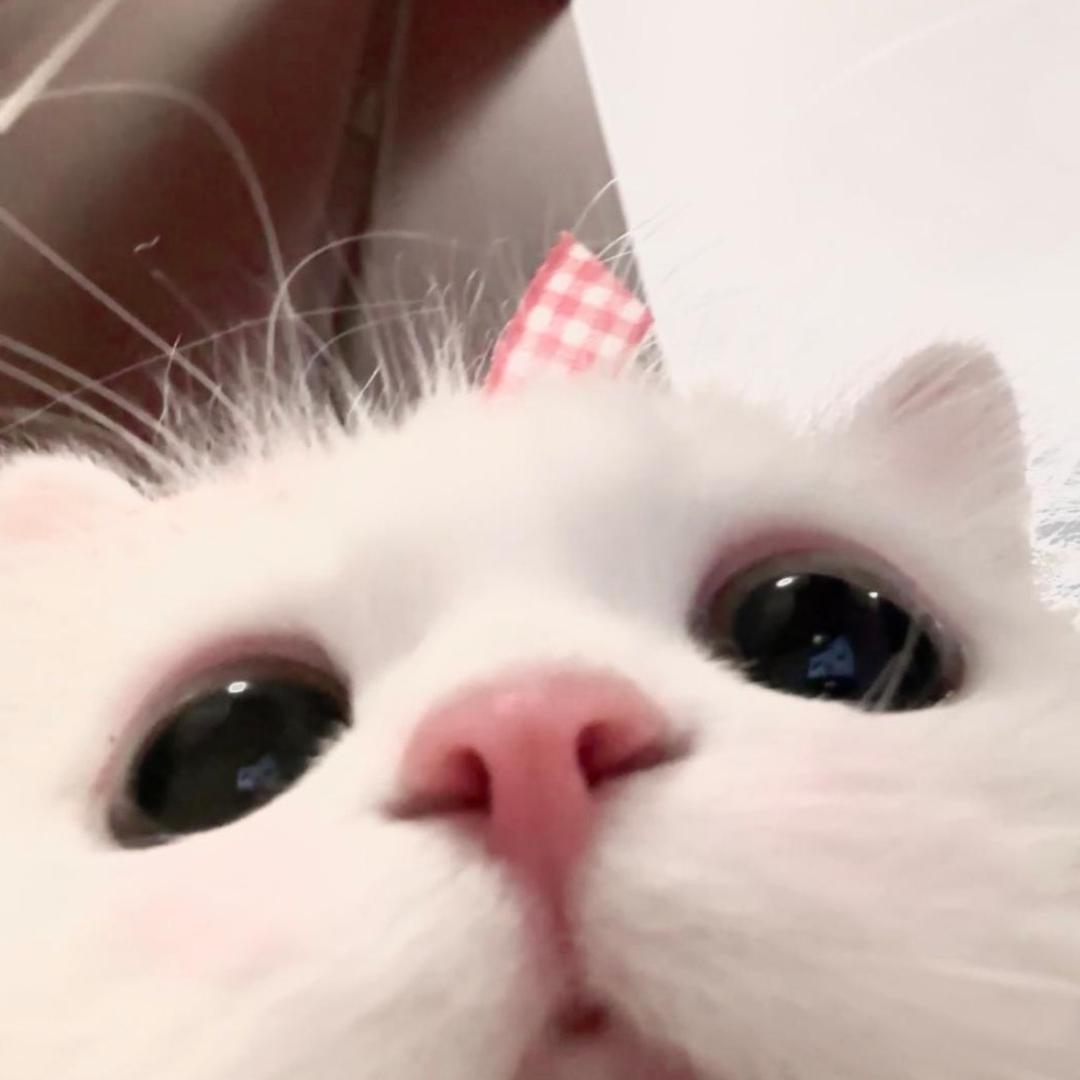 冬.